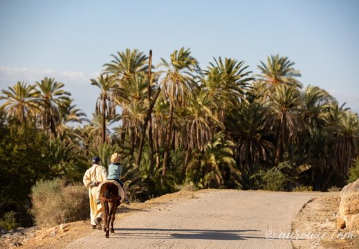 Maroc