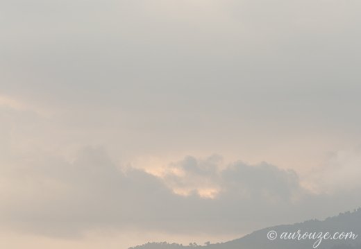 1Z5A9437-export