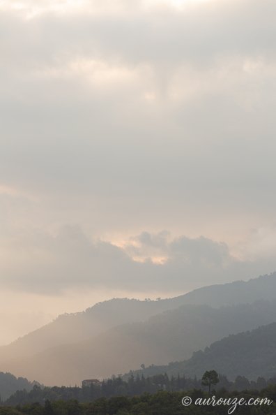 1Z5A9437-export.jpg