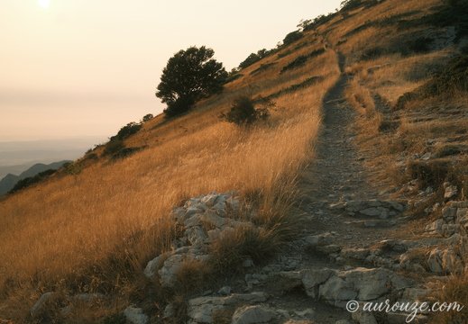 DSCF1262