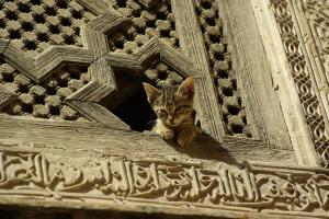 Maroc
