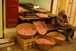 Maroc
