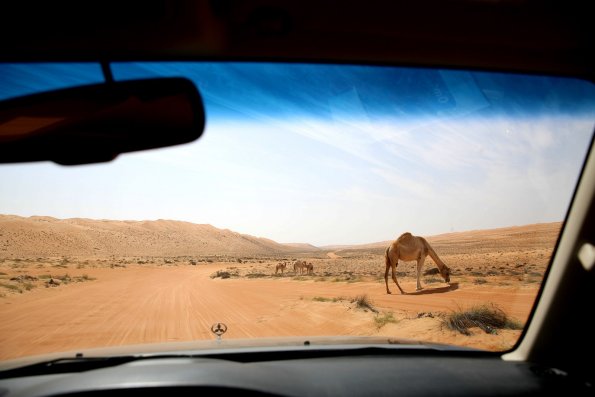 12-02-17-09_09_49_012