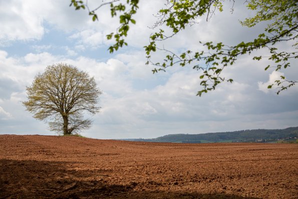 02-05-21-11_17_23_027