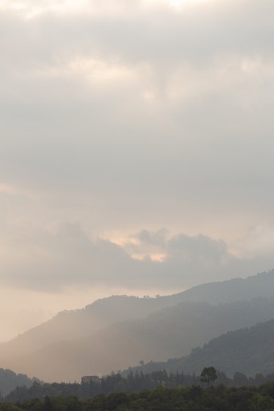 1Z5A9437-export